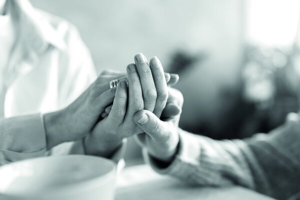 koláč pro hospic koláč pro hospic